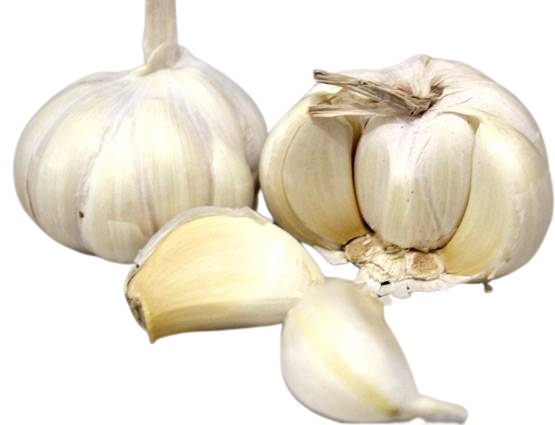 Garlic Thick (लहसुन मोटा )