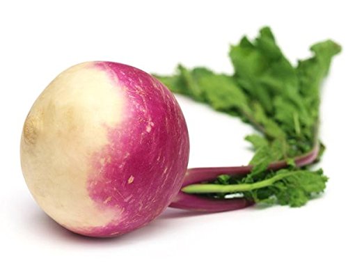 Turnip (शलजम )